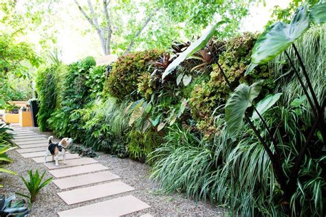 Jardins verticais e muros vegetados voltaram com toda força: afinal ...