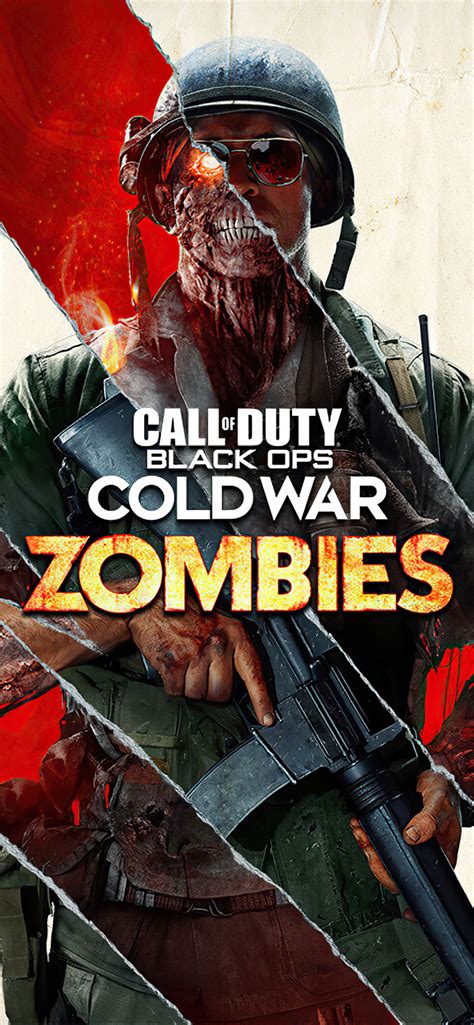 1242x2688 Call Of Duty Black Ops Cold War Zombies Iphone XS MAX HD 4k ...