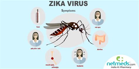 Zika Virus Disease: The Causes, Symptoms And Treatment Of This Mosquito ...