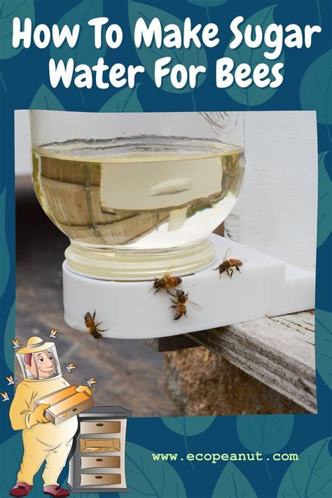 Sugar water for bees preparation and feeding guide – Artofit