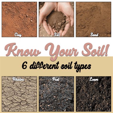 Different Types Of Soil With Images