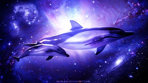 Dolphin Wallpapers for Desktop ·① WallpaperTag