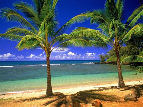 Hawaii Beach Scenery Wallpapers - Wallpaper Cave