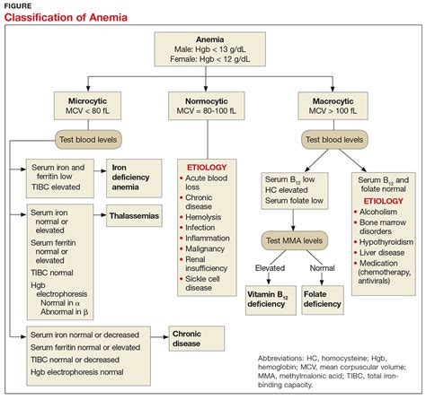 Different Types Anemia Chart