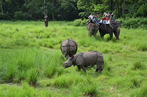 Wildlife Photography Tour Package - Photography Tour in Nepal