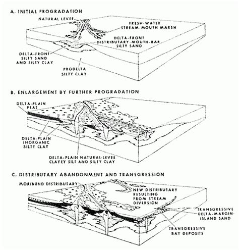 {LaB} » ecology of:river DELTA formation