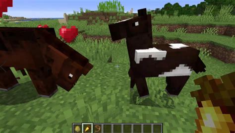 Minecraft: Animal Breeding Guide - How-To Breed All Animals! (2020 ...