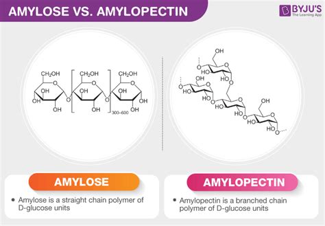 Structural Formula Of Amylose