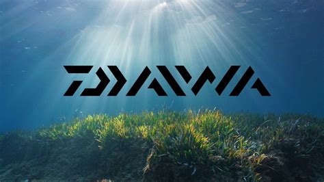 Daiwa dives in to support OzFish’s Seeds for Snapper | OzFish Unlimited