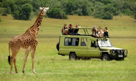 7 Days Tanzania Wildlife Safari | Tanzania wildlife safaris | Tanzania ...