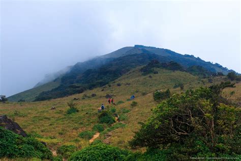 Tadiandamol Trek | Bangalore Mountaineering Club