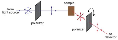 Fluorescence Polarization in Life Sciences