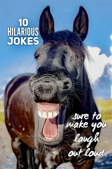 10 hilarious jokes sure to make you laugh out loud - Roy Sutton