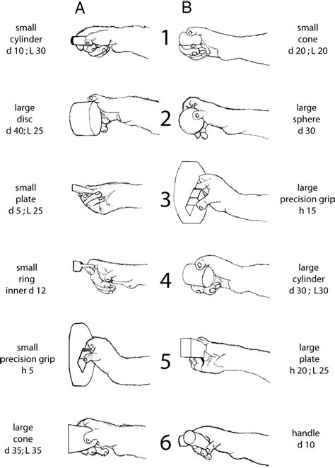 Grasp Patterns Occupational Therapy