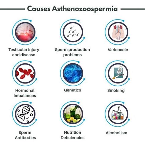 Asthenozoospermia - Types, Symptoms, Causes & Treatment - Santripty