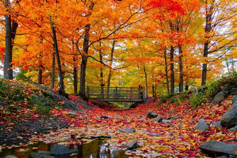 First Day of Fall: Fun Facts About the Fall Equinox | Reader's Digest