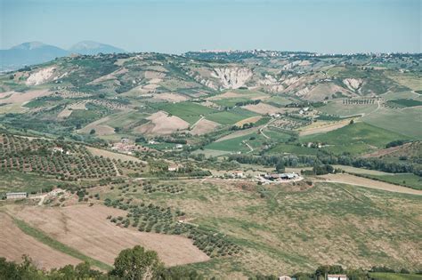 Abruzzo Wine Region, Italy | Winetourism