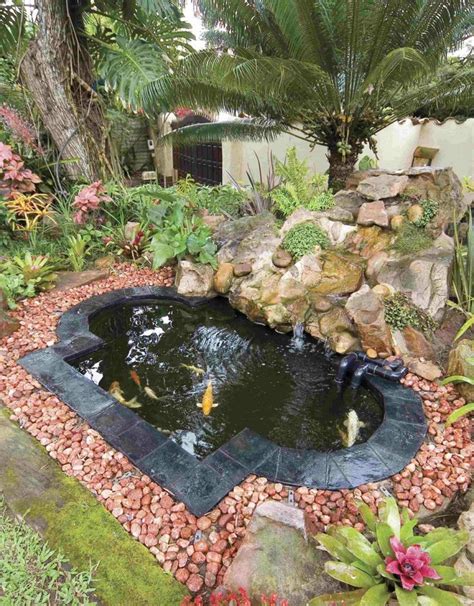 Maintenance Tips For Backyard Ponds | Fish pond gardens, Garden pond ...