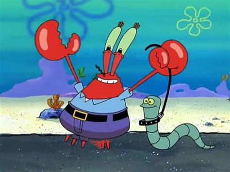 Mr Krabs with his pet worm | Sünger bob, Bob, Yengeç