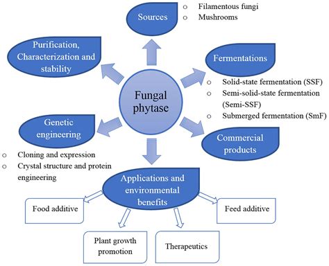 Frontiers | Bioprocess for Production, Characteristics, and ...