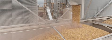 AGRILAND FS > Products & Services > Agriculture > Grain