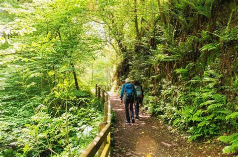 Walking trails & hikes in Killarney National Park - MV Lily of ...