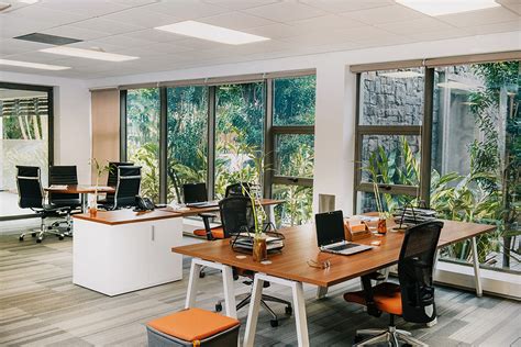 Eco-Friendly Office Design: Tips for Creating a Sustainable Workspace ...