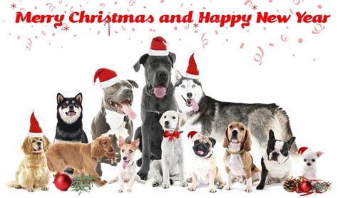 Paper Holiday & Seasonal Cards Greeting Cards Pet Puppy Artwork ...