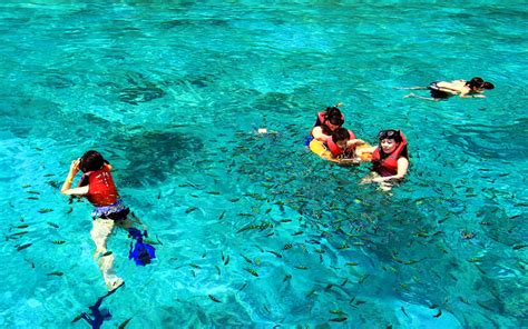 Snorkeling point-Phi Phi - Krabi beach travel and tourist attractions