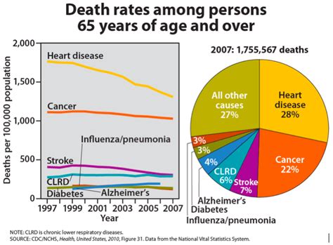 Most Common Causes of Death | Lifespan Development