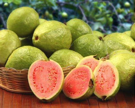 Guava and FODMAPs - A blog by Monash FODMAP | The experts in IBS ...