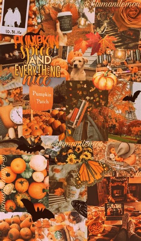 15 Top thanksgiving wallpaper aesthetic cute You Can Get It Without A ...