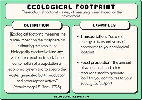 10 Ecological Footprint Examples (2024)