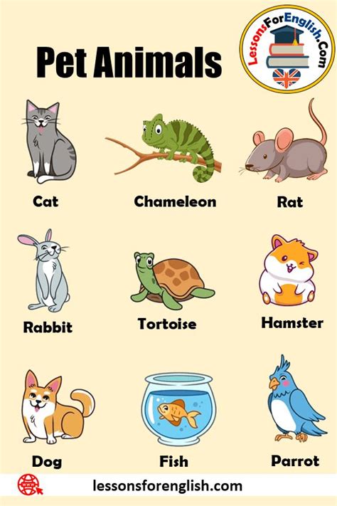 100 Pet Animals Names, Definition and Example Sentences Pet Animals ...