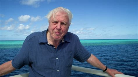 Watch David Attenborough's Great Barrier Reef Online | Stream Season 1 ...