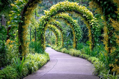 POW: Golden Arches in Singapore's Botanic Gardens - Find Away Photography