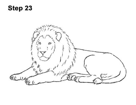 a drawing of a lion laying down with the words step 23 on it's side