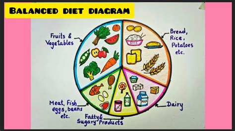 Balanced Diet Chart Drawing