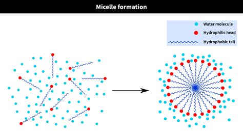 Surfactants for Emulsion Polymers