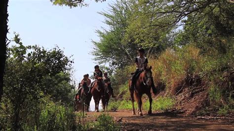 Kualoa Ranch Horseback riding tour - YouTube