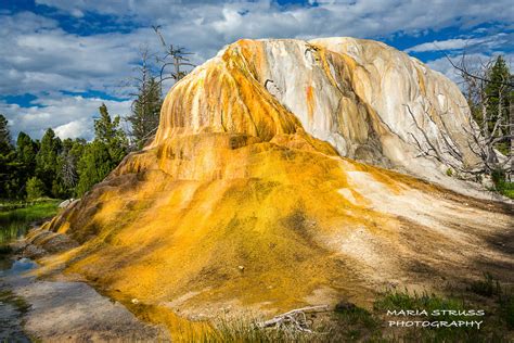 Mammoth Hot Springs | A guide to the best sights