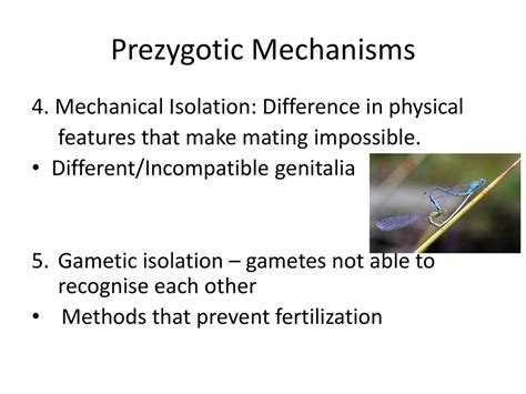 Speciation. - ppt download