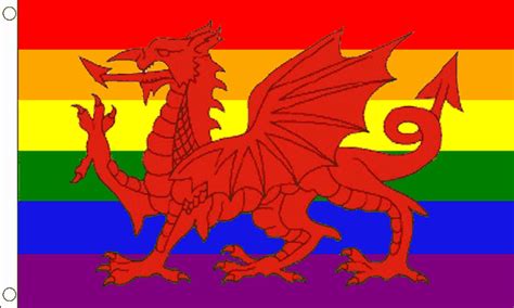 Rainbow Welsh Dragon Flag (Medium) - MrFlag