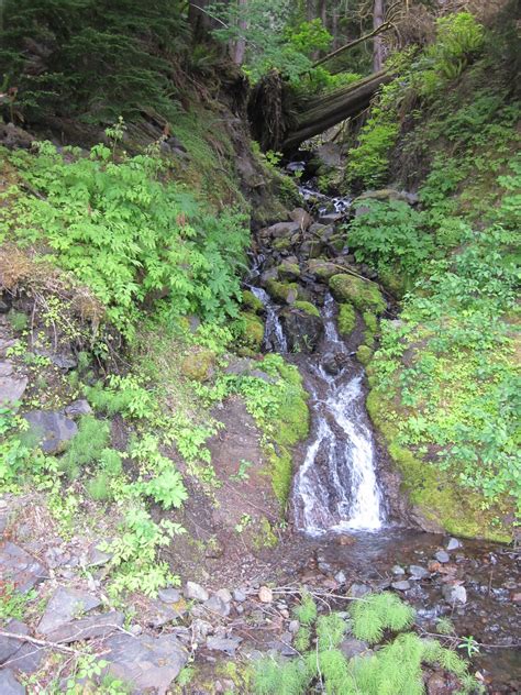 Waterfall, Lake Crescent | Lynne Fitz | Flickr