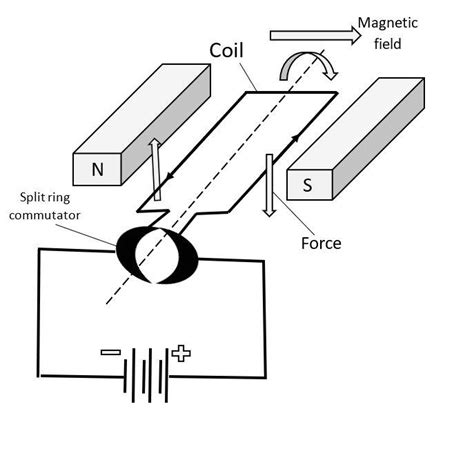 Draw a labelled diagram of DC motor.