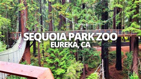 Exploring Sequoia Park Zoo in Eureka, California USA Hiking Tour # ...