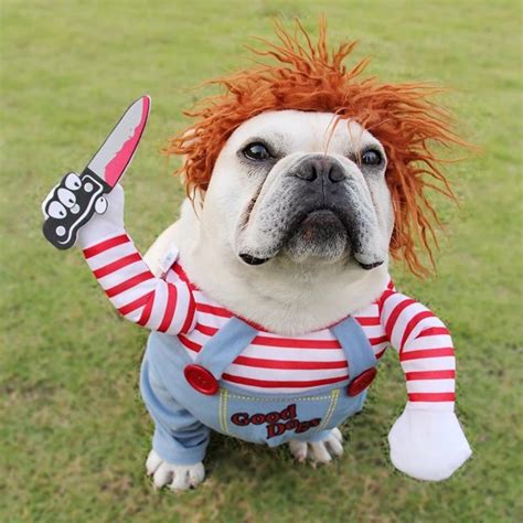 Cheap Halloween Dog Costumes Funny Pet Clothes Adjustable Dog Cosplay ...