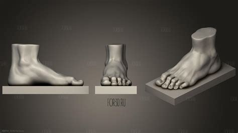 Feet Anatomy | 3d stl model for CNC