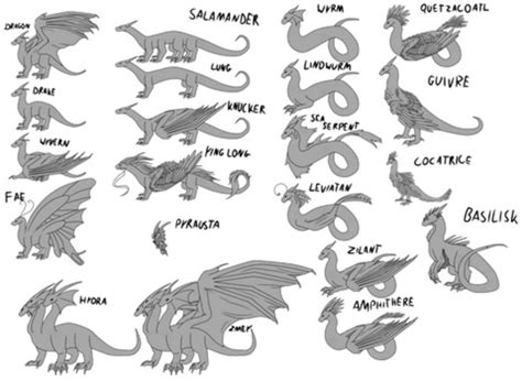 Types of Dragons | Fandom | Types of dragons, Dragon artwork fantasy ...