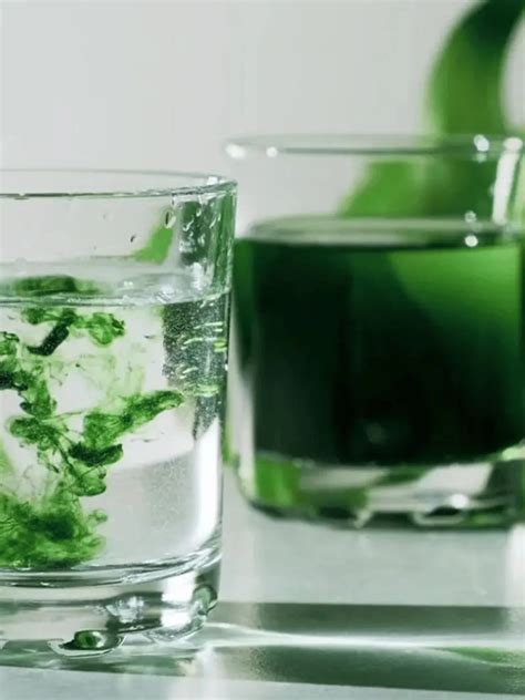 Should You Be Drinking Liquid Chlorophyll?